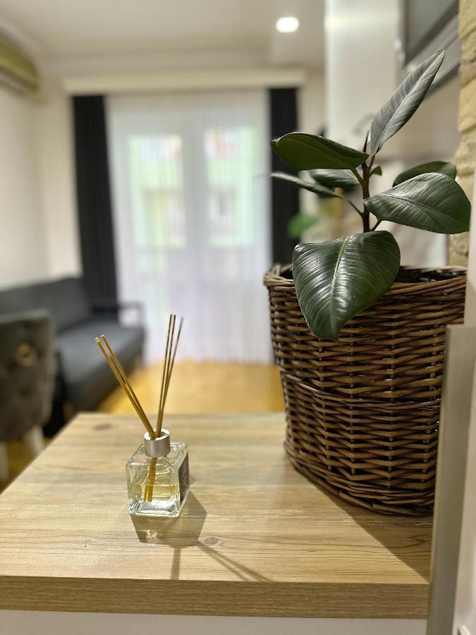 Apartment バトゥーミ エクステリア 写真