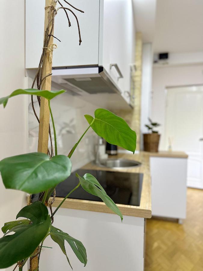 Apartment バトゥーミ エクステリア 写真